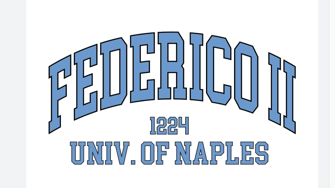 University of Naples Federico II