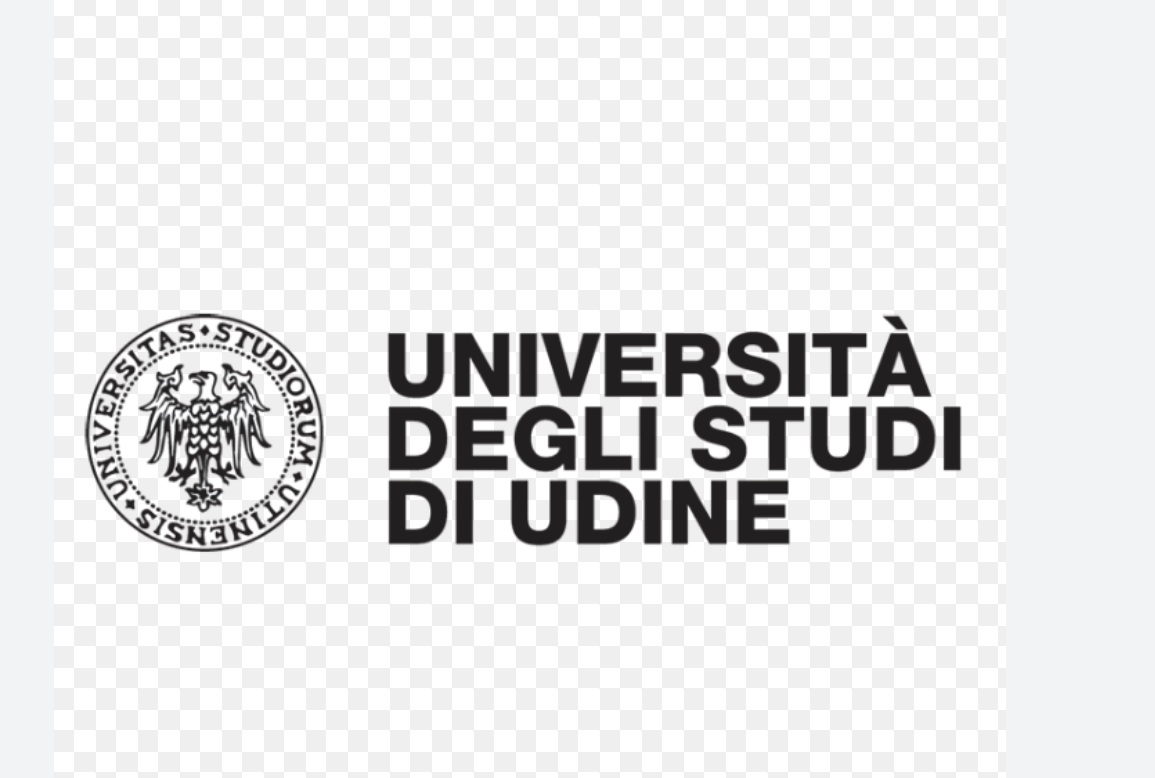 University of Udine
